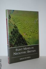 Neolithic Flint Mines in Britain